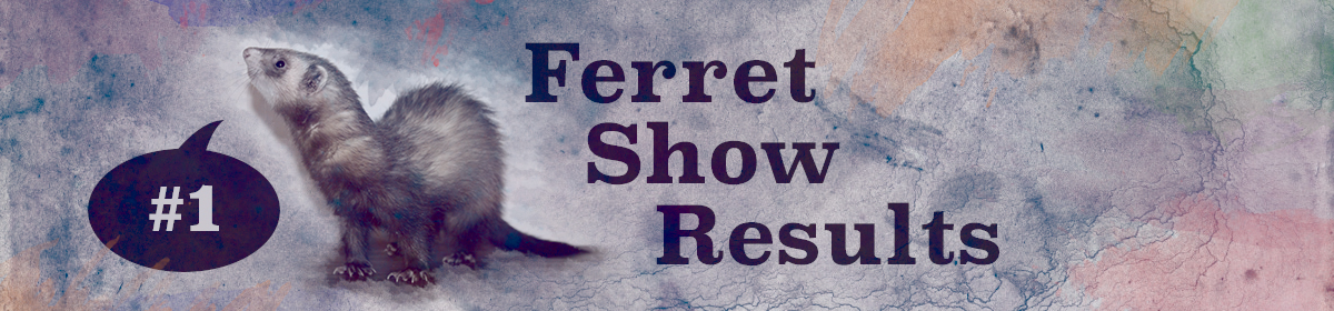 Ferret Show Results
